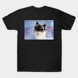 Sacred Cat of Burma T-Shirt